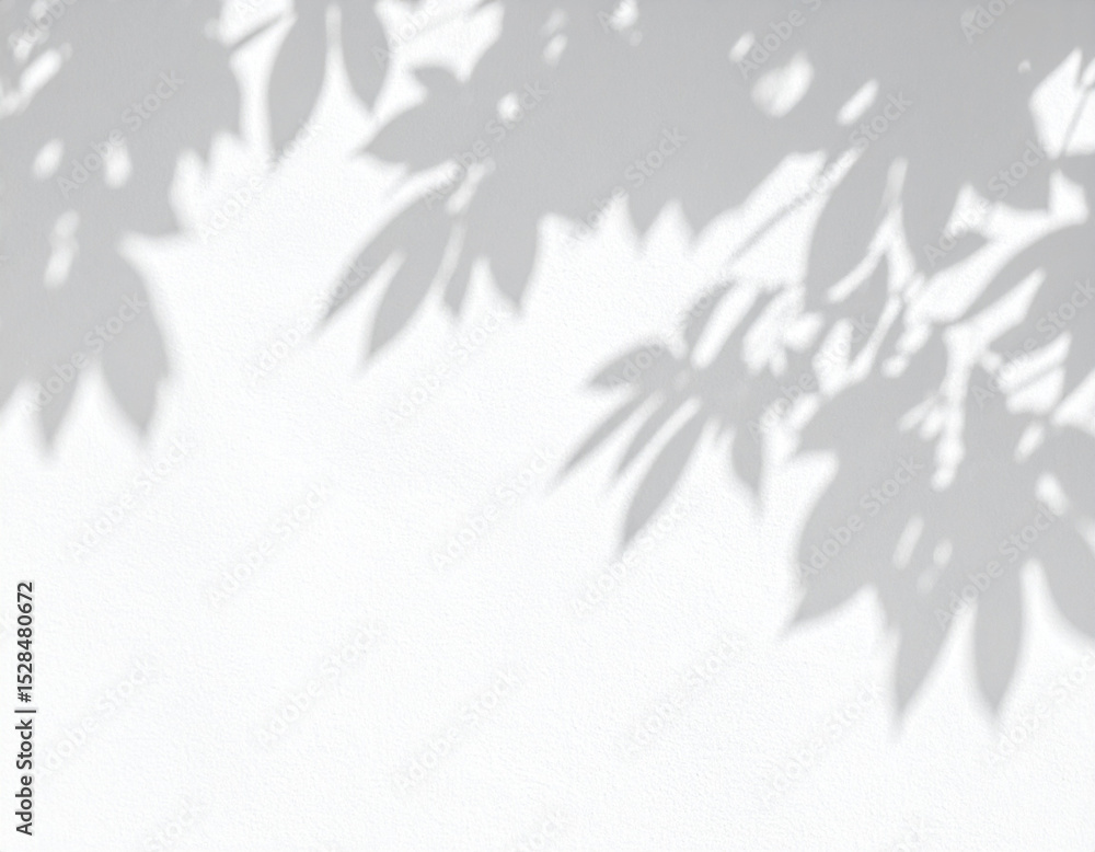 Soft Leaf Shadows Cast on White Wall, Creating Abstract Natural Patterns Soft Leaf Shadows Cast on White Wall, Creating Abstract Natural Patterns