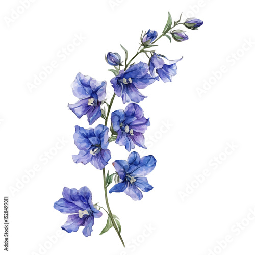 A Larkspur Stem, watercolor clipart vector, high quality, isolated on a white background.