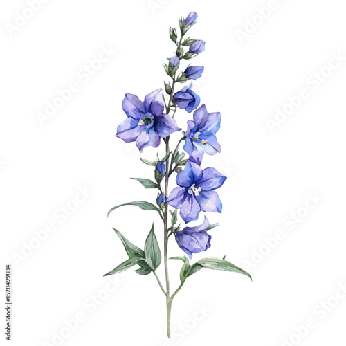 watercolor vector of A Larkspur Stem, high quality, isolated on a white background.