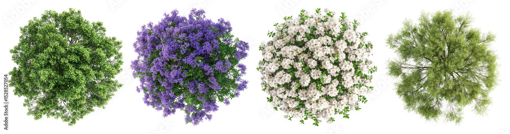 Fototapeta premium PNG Colorful top-view tree collection, element set on transparent background