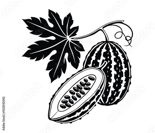Black Bitter Melon Vector Silhouette Icon, Bitter Gourd Vegetable, Herbal Bitter Melon Silhouette, Tropical Bitter Gourd Vector, Organic Bitter Melon Silhouette.