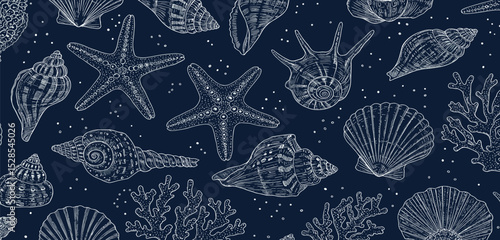 Seamless vector banner with hand drawn sea shells, conch, tentacle, starfish, corals. Outline marine drawings on wide background. Pattern with sketch silhouettes of seashore elements