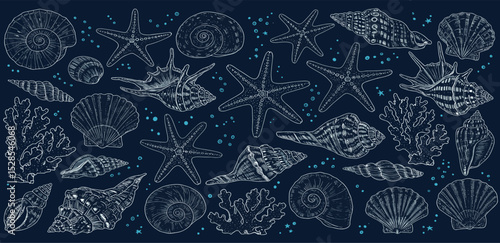 Seamless vector banner with hand drawn sea shells, conch, tentacle, starfish, corals. Outline marine drawings on wide background. Pattern with sketch silhouettes of seashore elements