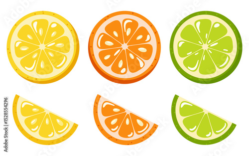 Set of citrus slices with lemon, orange and lime in round and wedge shapes. Cartoon vector illustration on white background