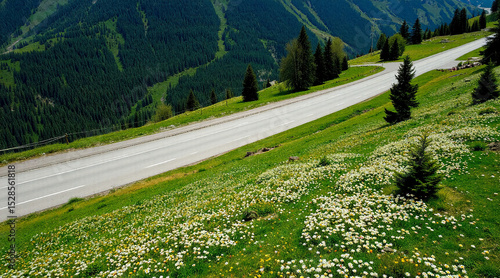 Straight summer mountain road, top view. White flowers, green grass. AI generation.