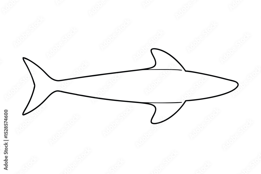 Obraz premium Simple line drawing of a shark ocean animal
