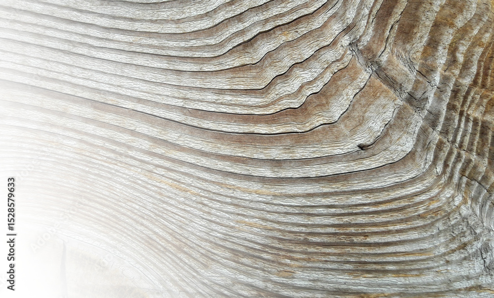 Fototapeta premium Close-up Weathered Wood Texture, Grey Brown, Nature Background Or Design Element