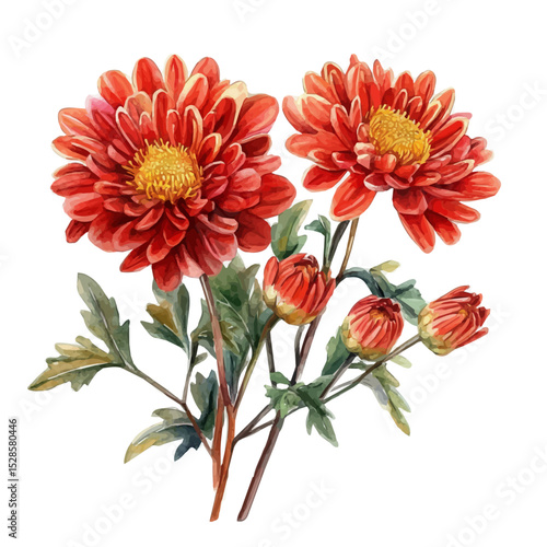 watercolor vector of A Chrysanthemum Stem Bouquet, high quality, isolated on a white background.