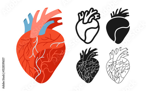 Human heart symbol set. Anatomical heart muscular organ symbol on white background. Drawing human heart for cardiology medical educational for children simple style stylized design vector illustration