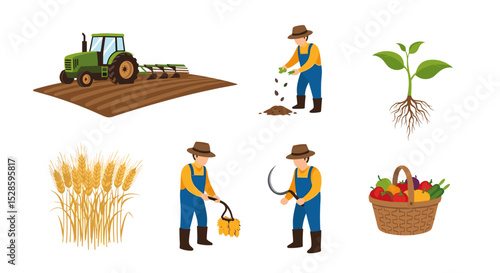 Farming and agriculture process from plowing to harvesting crops with tractor and farmers illustration