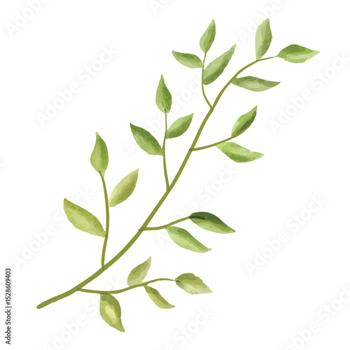 branch with green leaves