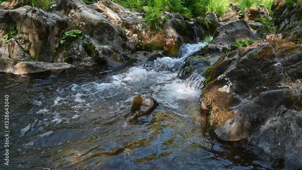 water flowing into the river water flowing into the river