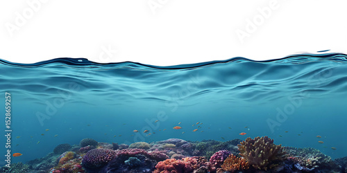 Fototapeta Naklejka Na Ścianę i Meble -  Vibrant underwater coral reef scene isolated on a white background png ai generated