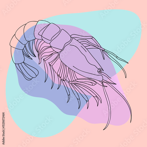 A stylized line illustration of a lobster with overlaid pastel shapes, perfect for blogs on seafood, marine biology, or abstract culinary themes.