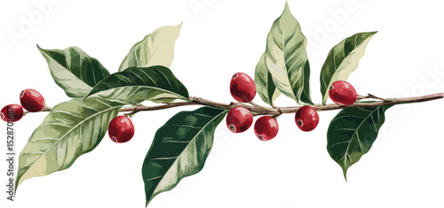 Branch of red berries with green leaves, in clip art style, isolated on white background