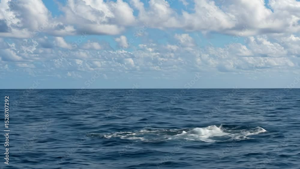 Majestic humpback whale dives back into the ocean with a splash. Concept of wildlife viewing and whale watching tourism. Majestic humpback whale dives back into the ocean with a splash. Concept of wildlife viewing and whale watching tourism.