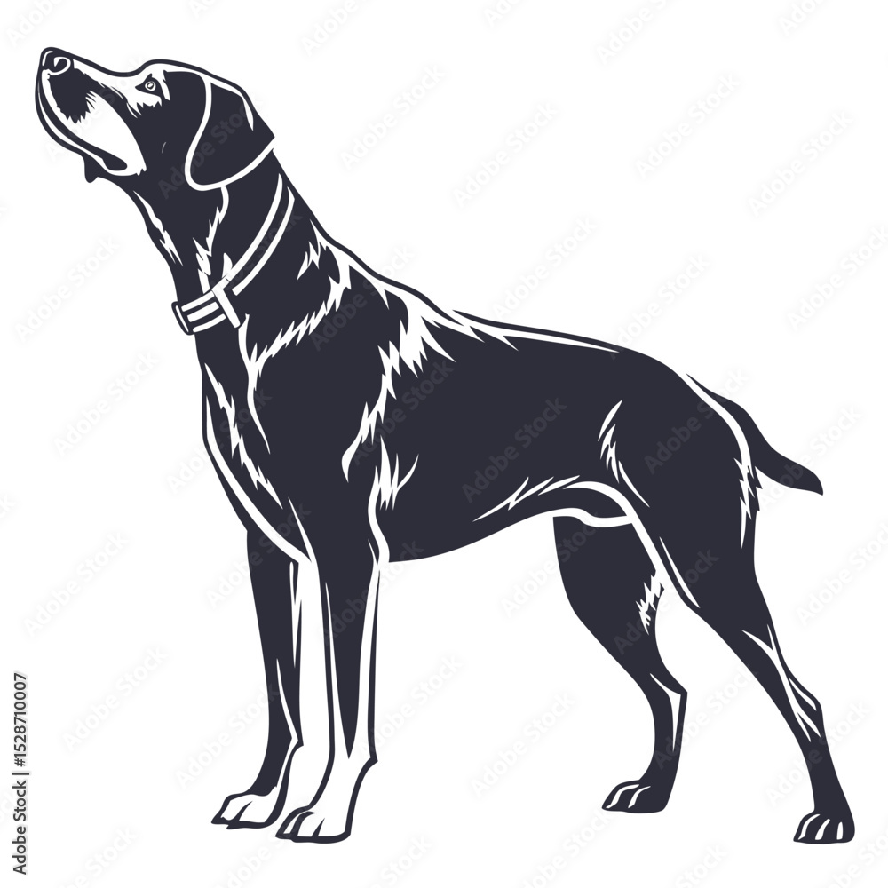 Obraz premium silhouette dog on white background