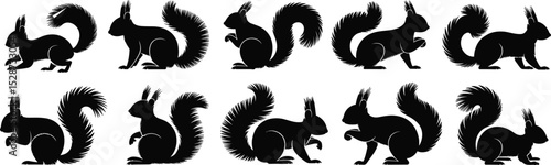 Squirrel silhouette vector set, wildlife animal icons, forest rodent clipart, bushy tail cartoon shape, nature creature