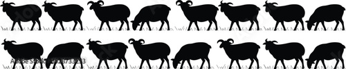 Silhouette of grazing sheep and goats, farm animals in grassland, black vector herd pattern, rural livestock,