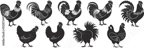 Rooster and hen silhouette vector set, chicken farm bird illustration, poultry clipart collection, black livestock design,