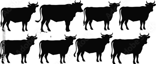Cow silhouette vector set, domestic cattle illustrations, farm animal graphics, black cow design bundle for agriculture