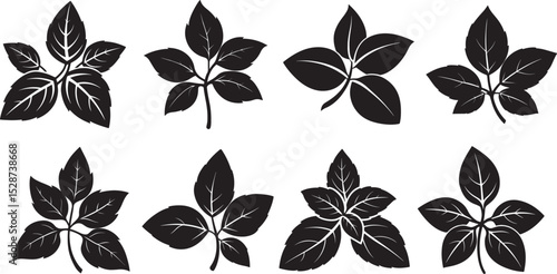 set of basil leaves silhouette, black and white silhouette, vector and illustration