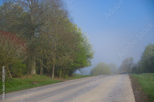 Quiet, fog-covered country road stretches into the distance, surrounded by trees and lush greenery.