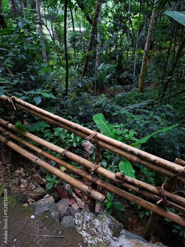 Wallpaper Mural stream in the woods Torontodigital.ca