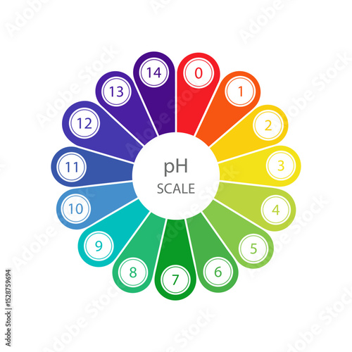 PH Scale diagram. Gauge for acid and alkaline balance. Chemical analysis or test. Vector illustration isolated on white background.