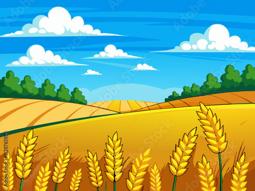 rice field