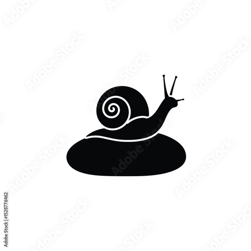Snail shell slow pace nature wildlife creature