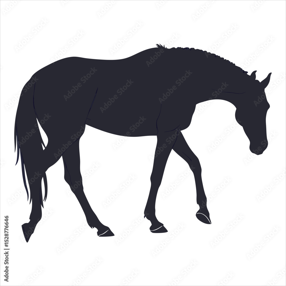 Fototapeta premium silhouette horse on white background