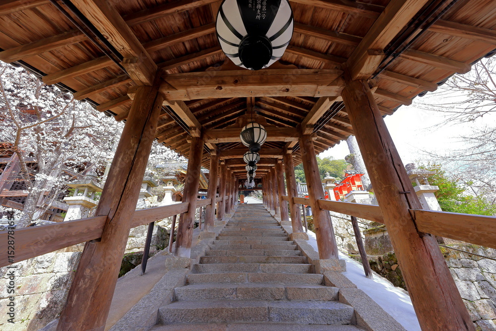 Fototapeta premium Hasedera Temple with cherry blossoms, a Buddhist temple for the Buzan sect of Shingon Buddhism at Nara Japan