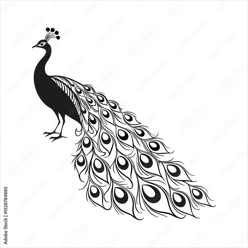 Fototapeta premium silhouette peacock on white background