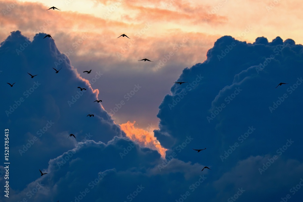 custom made wallpaper toronto digitalsunset in the mountains