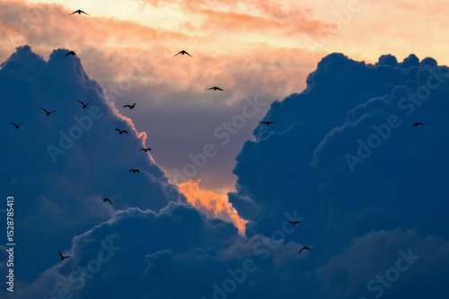 Wallpaper Mural sunset in the mountains Torontodigital.ca