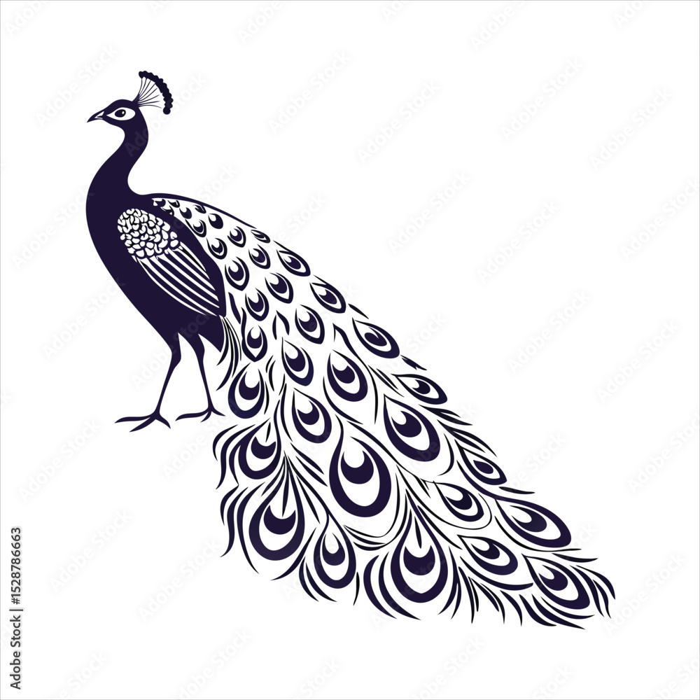 Fototapeta premium silhouette peacock on white background