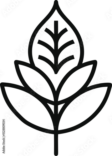 Amaranth Outline Icon: Vector Plant

