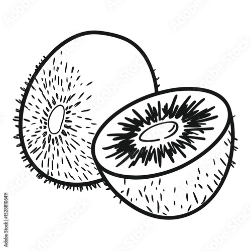 Kiwi fruit and half kiwi illustration isolated on a white background