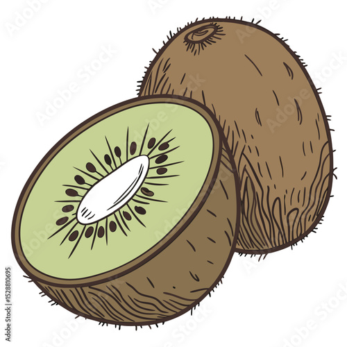 Isolated kiwi fruit illustration on a clean white background for design use