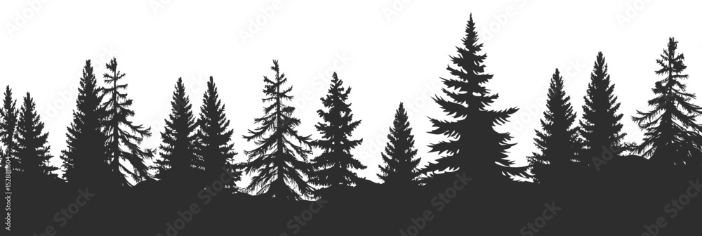 Fototapeta premium Silhouetted conifer tree forest landscape in black and white minimalist flat vector style with diverse pine tree shapes and dense tree trunks silhouette