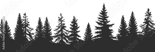 Silhouetted conifer tree forest landscape in black and white minimalist flat vector style with diverse pine tree shapes and dense tree trunks silhouette