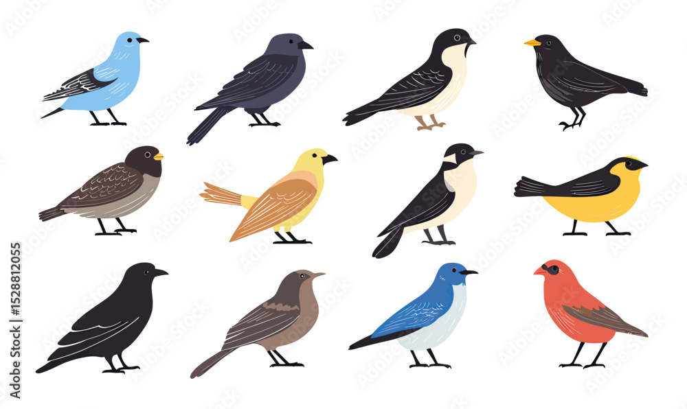 Fototapeta premium Collection of twelve colorful flat minimalist vector birds illustrations featuring various small songbirds in different poses isolated on white background