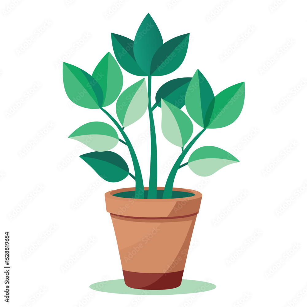 indoor plant on white background indoor plant on white background