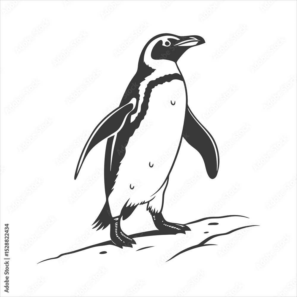 Naklejka premium silhouette penguin on white background