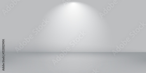 Modern blur abstract soft grey studio and wall background abstract simple vector dynamic shapes