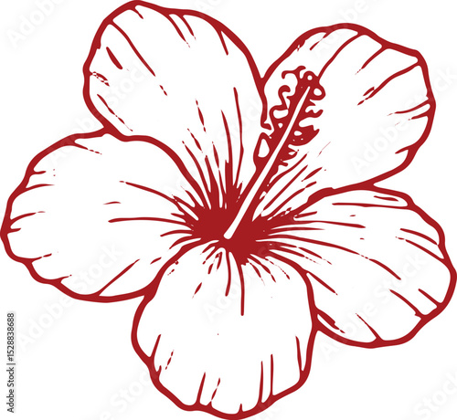 A stunning hand-drawn hibiscus flower illustration with bold red outlines and intricate white detailing, featuring a prominent central stamen. Ideal for floral designs, tattoos, posters, 