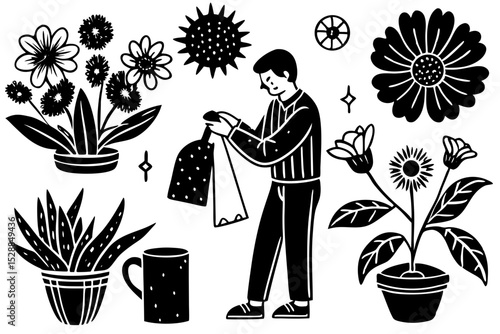 Person tending to a collection of houseplants