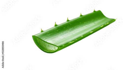 Aloe vera leaf slice macro isolated on transparent background