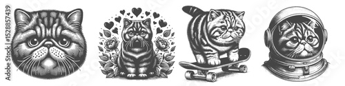 Vintage Hand-Drawn Exotic Shorthair Cat Collection Illustration, Space and Street Style Engraved Vector for T-Shirts and Pop Culture Themes Design